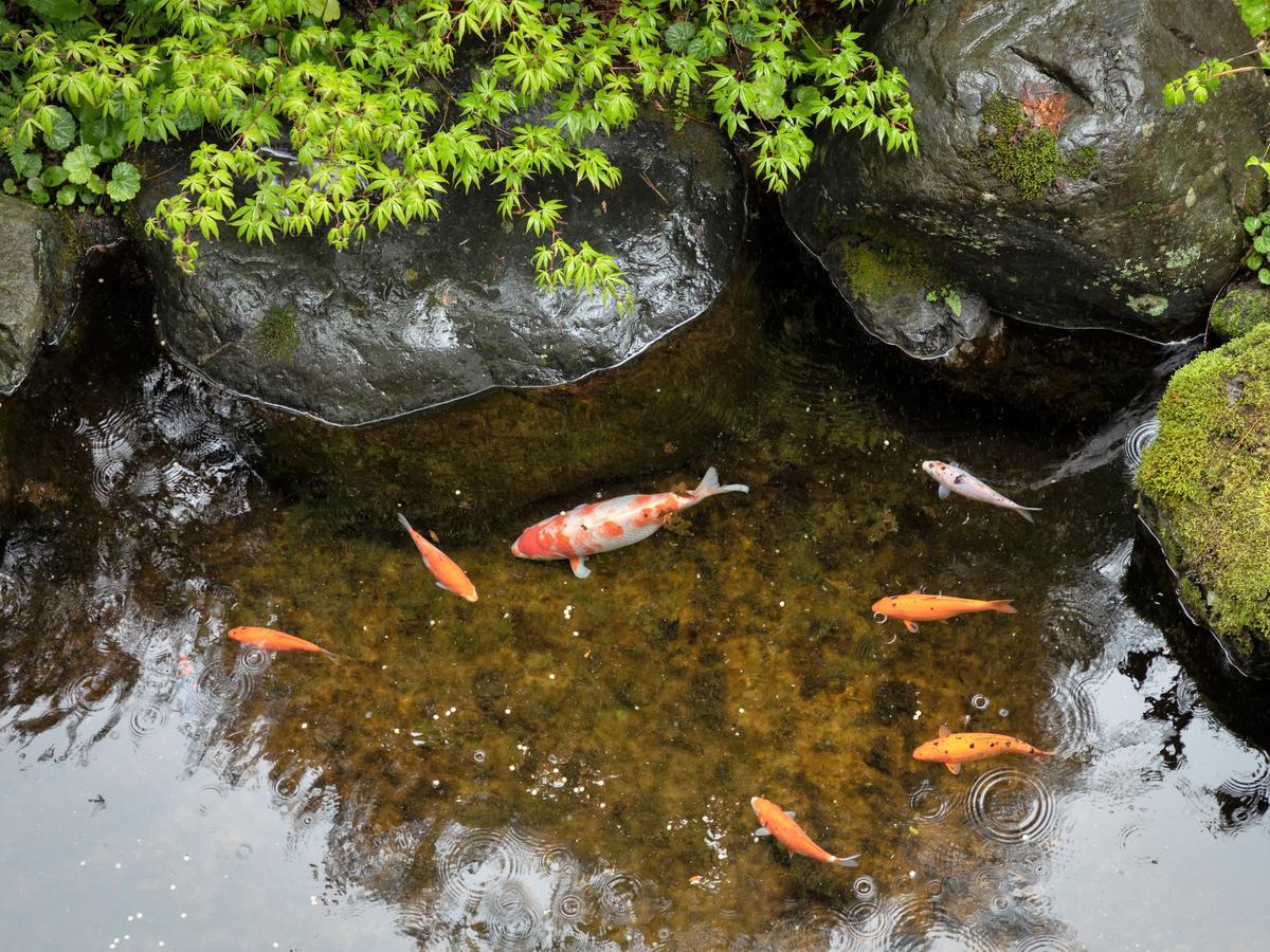 Ryokan Gizan Takayama  Buitenkant foto